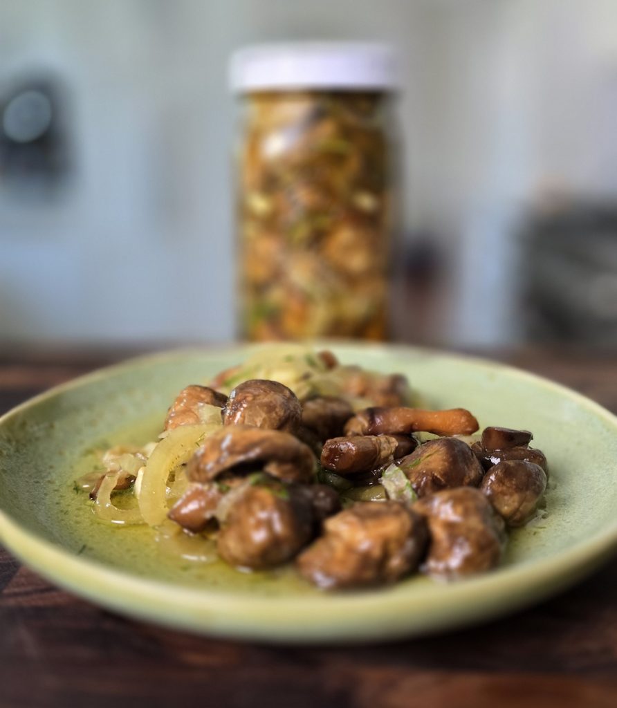Fermented-Mushrooms